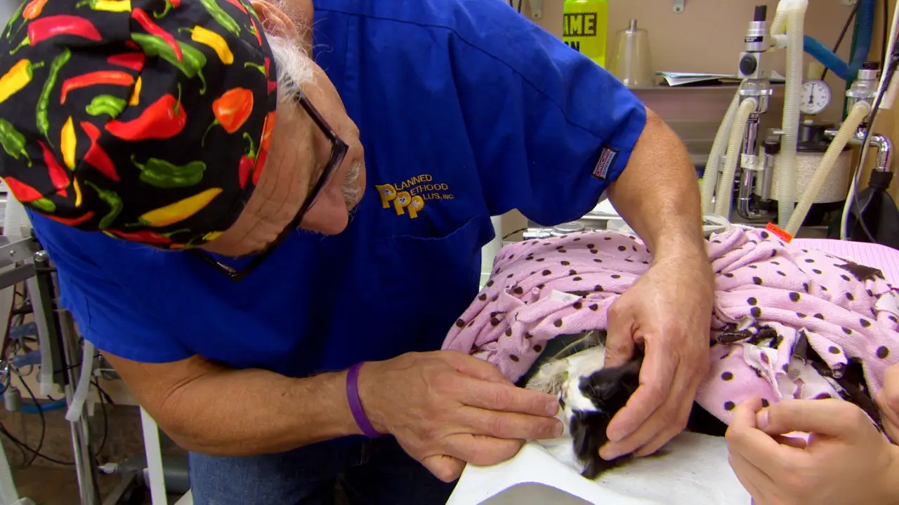 Animal Planet - Dr. Jeff: Rocky Mountain Vet