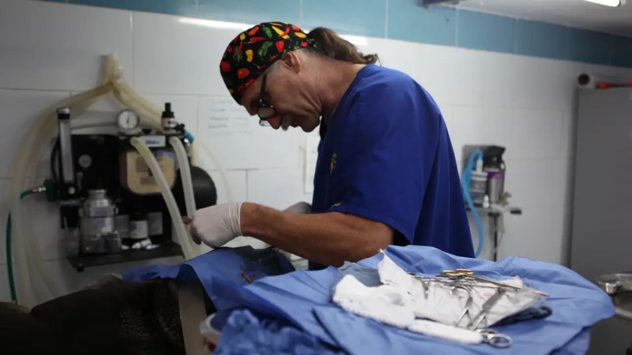 Animal Planet - Dr. Jeff: Rocky Mountain Vet