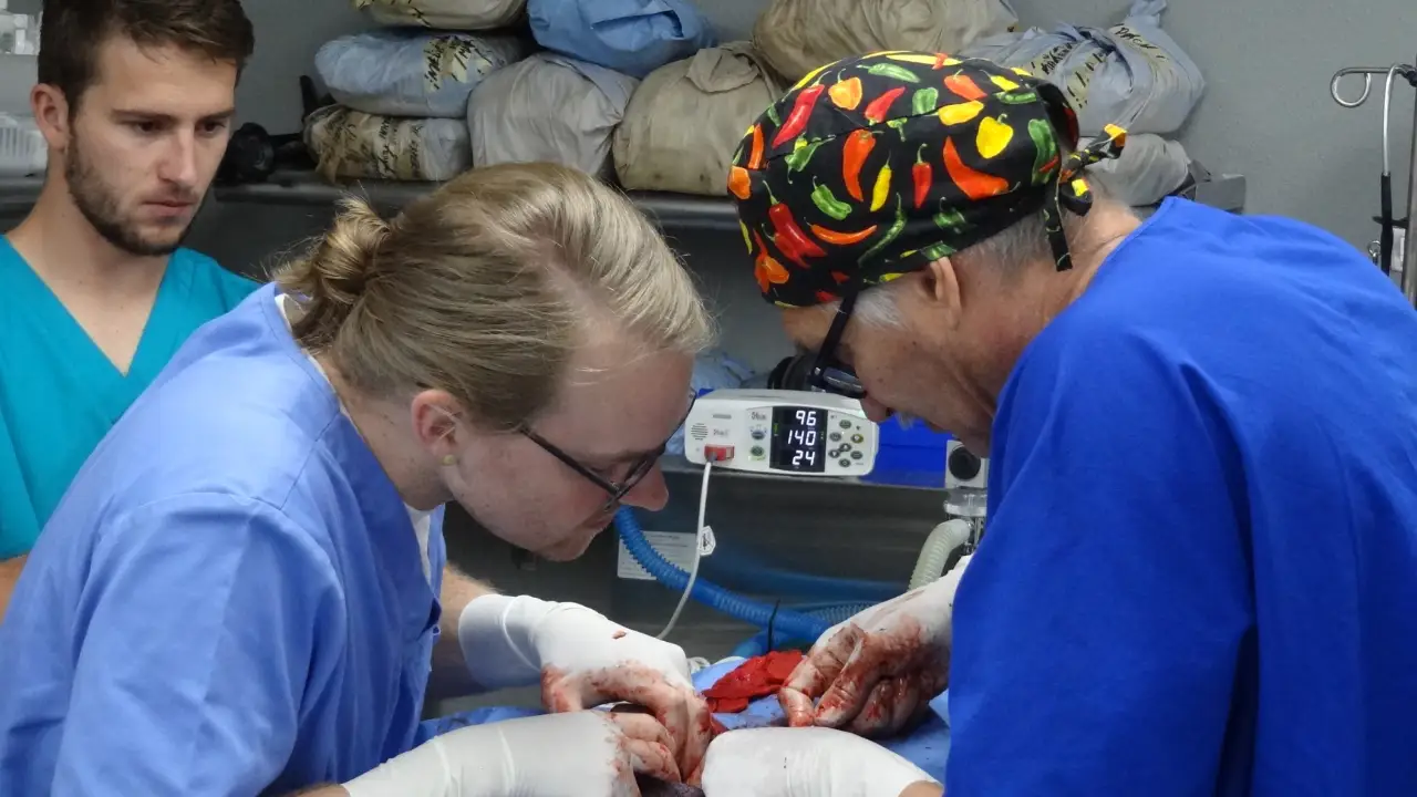 Animal Planet - Dr. Jeff: Rocky Mountain Vet