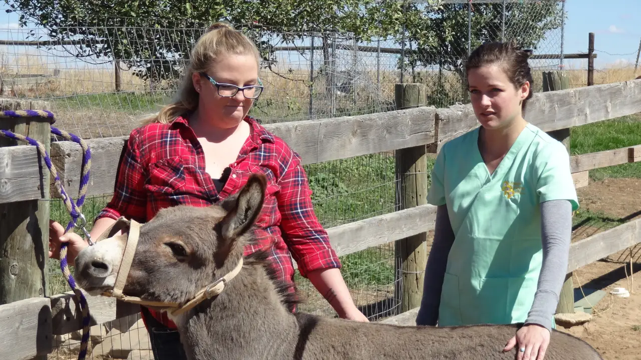 Animal Planet - Dr. Jeff: Rocky Mountain Vet