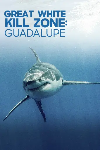 Bild från filmen Guadalupe Kill Zone