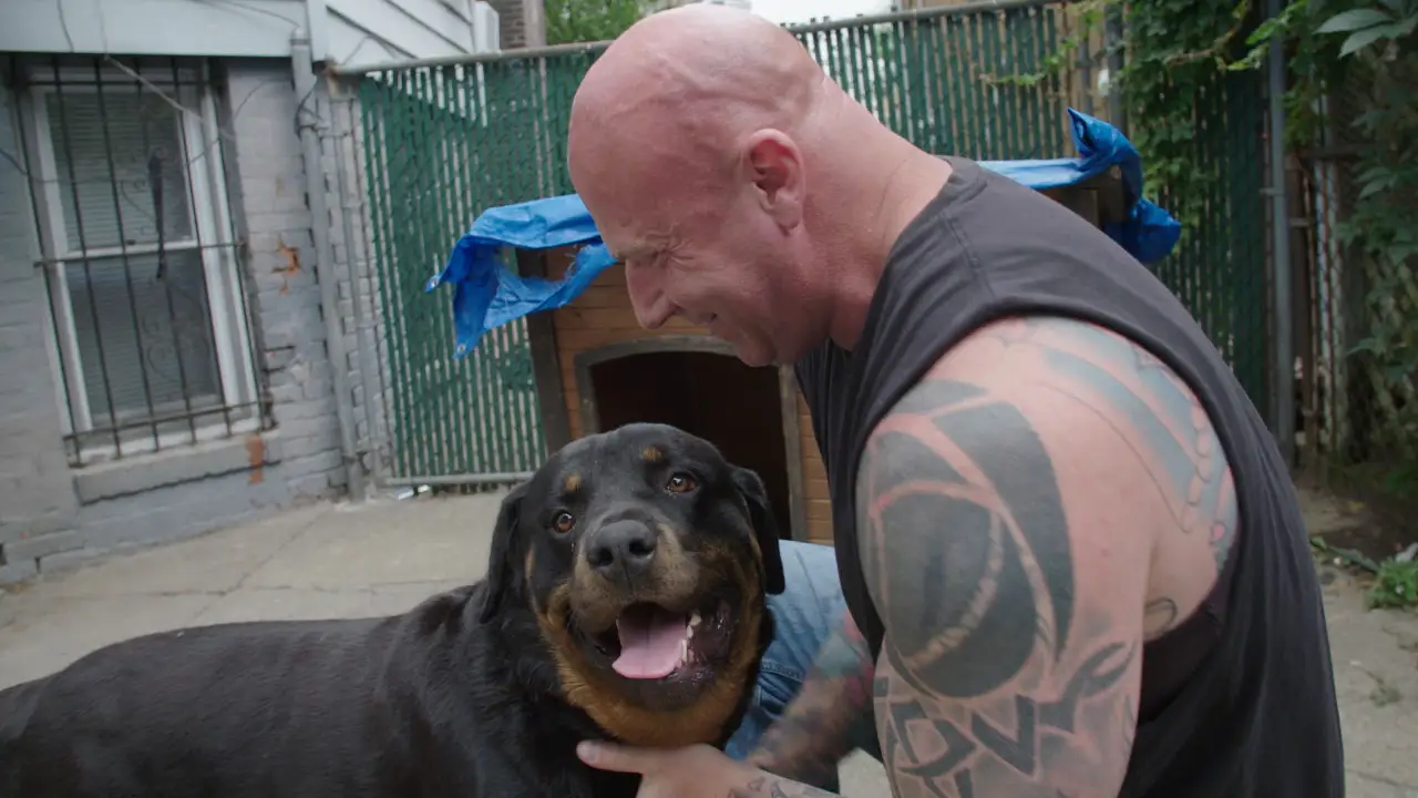 Animal Planet - Guardians of Rescue