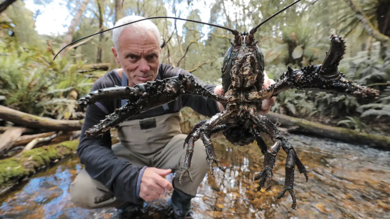 Jeremy Wade's Dark Waters