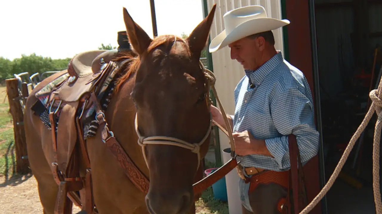 Animal Planet - Lone Star Law