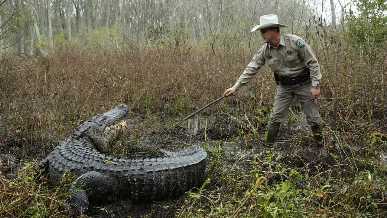 Animal Planet - Lone Star Law
