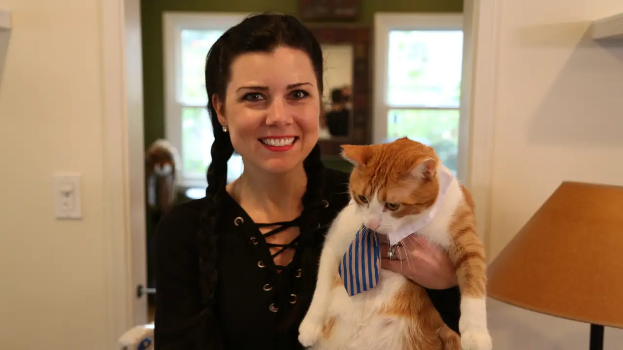 Animal Planet - My Cat From Hell