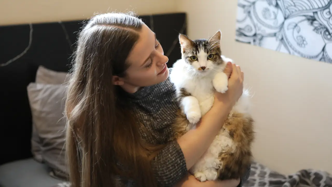 Animal Planet - My Cat From Hell