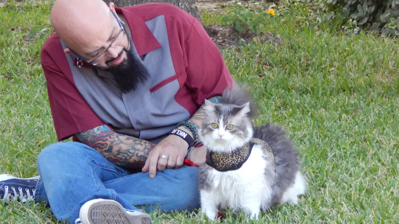 Animal Planet - My Cat From Hell