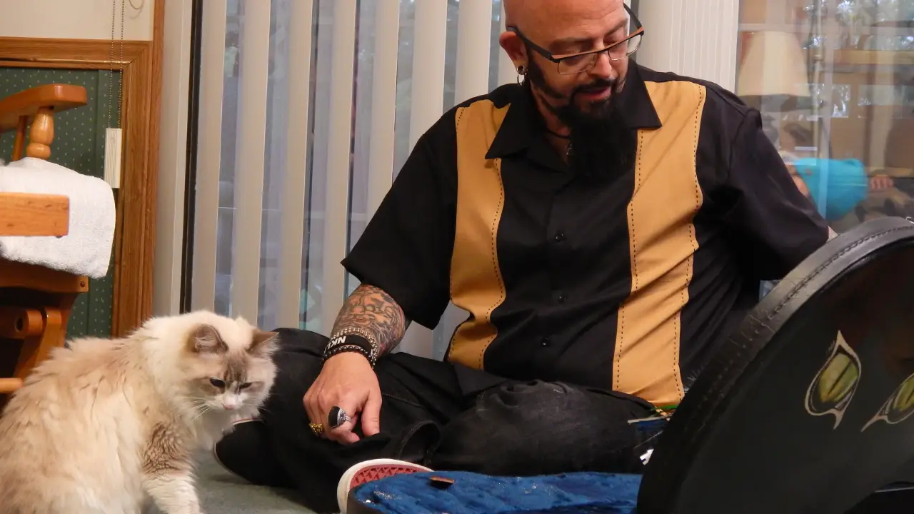 Animal Planet - My Cat From Hell