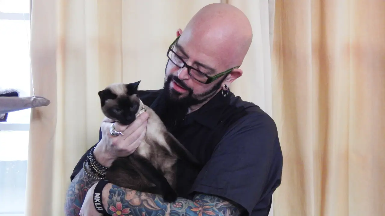 My Cat From Hell