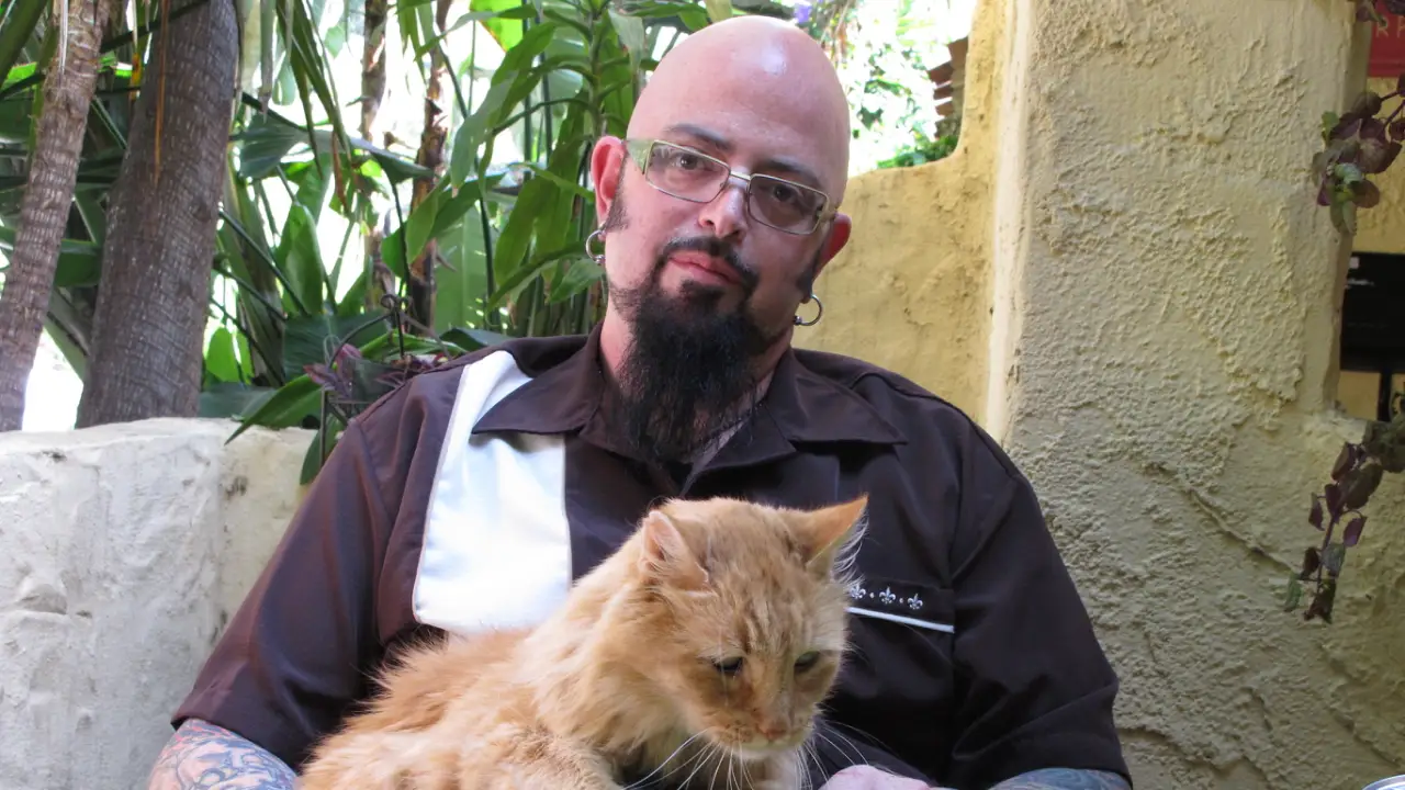 Animal Planet - My Cat From Hell