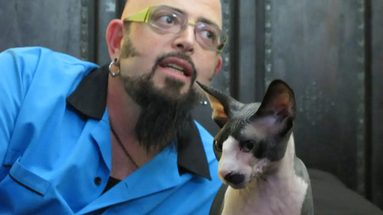 Animal Planet - My Cat From Hell