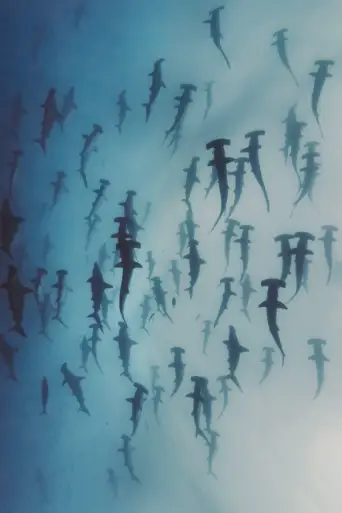 Bild från filmen Nature's Strangest Mysteries: Solved