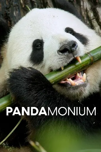 Bild från filmen Pandamonium
