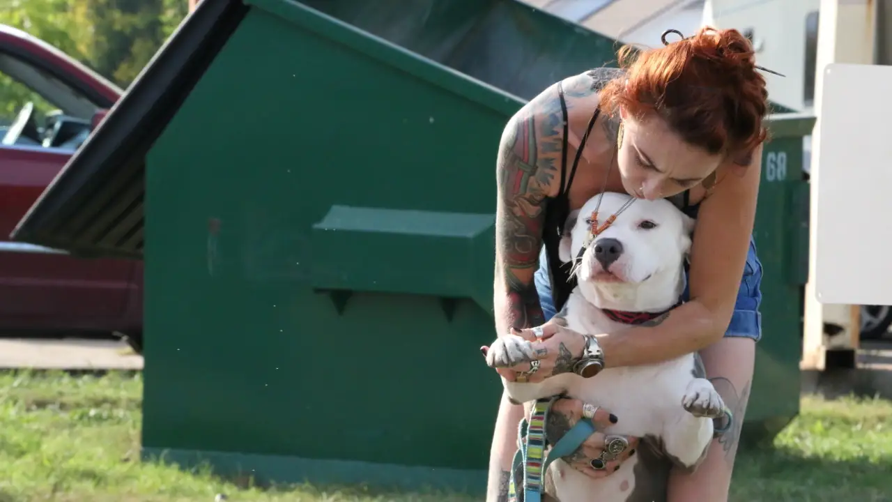 Pit Bulls & Parolees