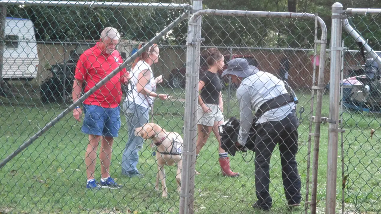Pit Bulls & Parolees