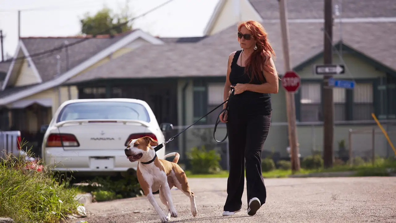Animal Planet - Pit Bulls & Parolees