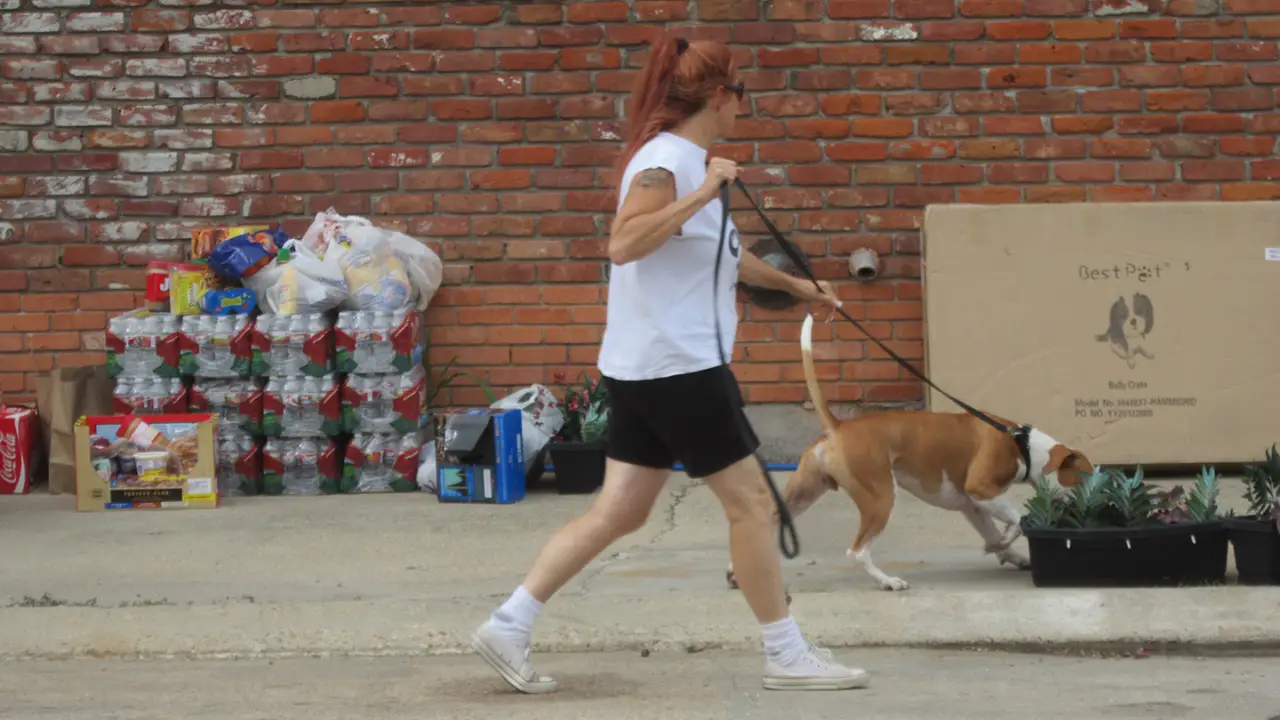 Animal Planet - Pit Bulls & Parolees