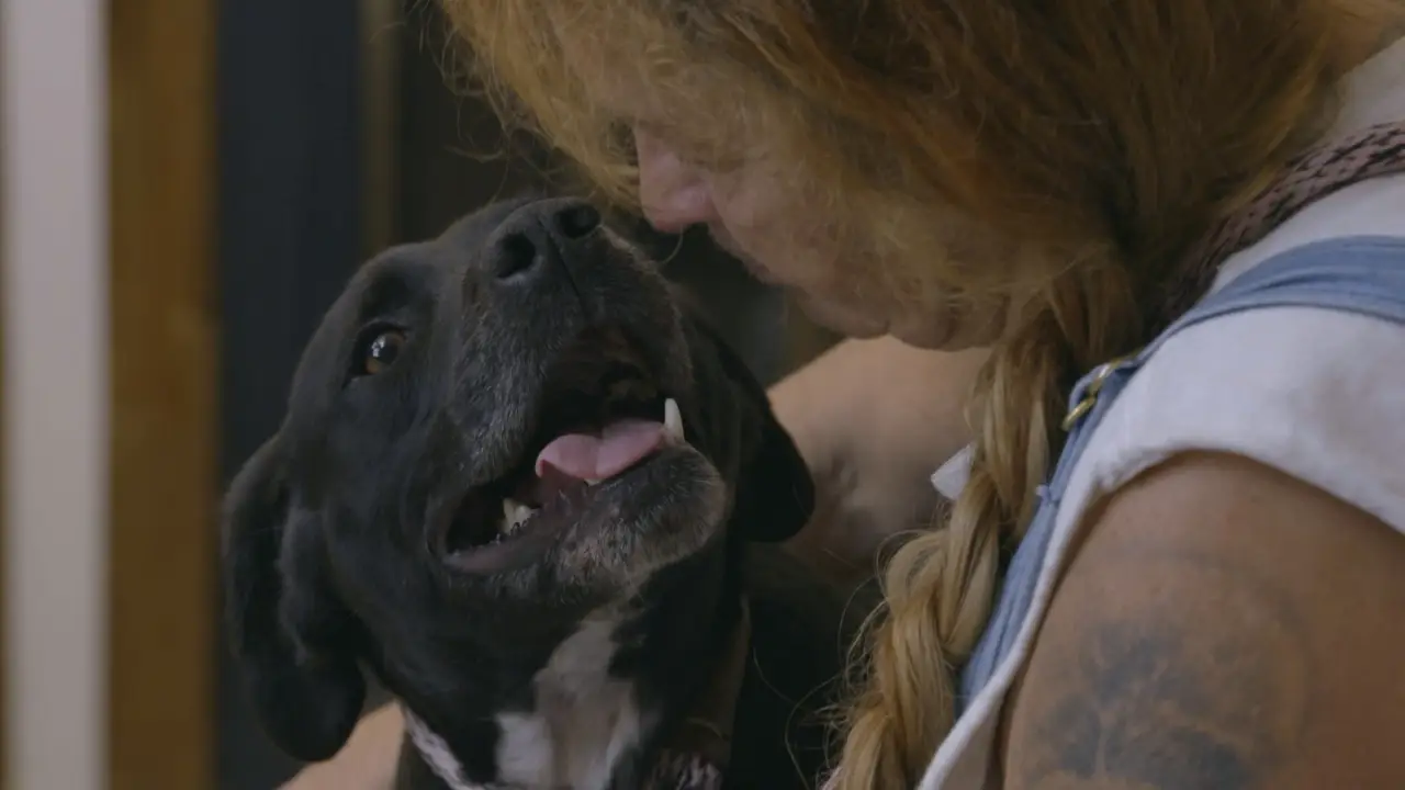 Animal Planet - Pit Bulls & Parolees