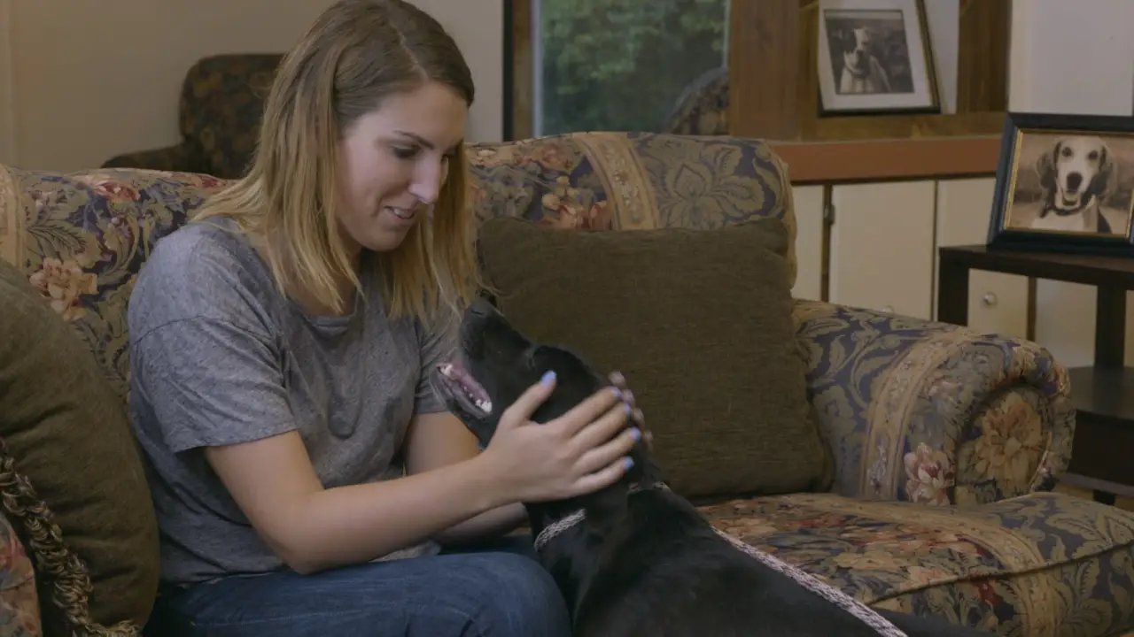 Pit Bulls & Parolees
