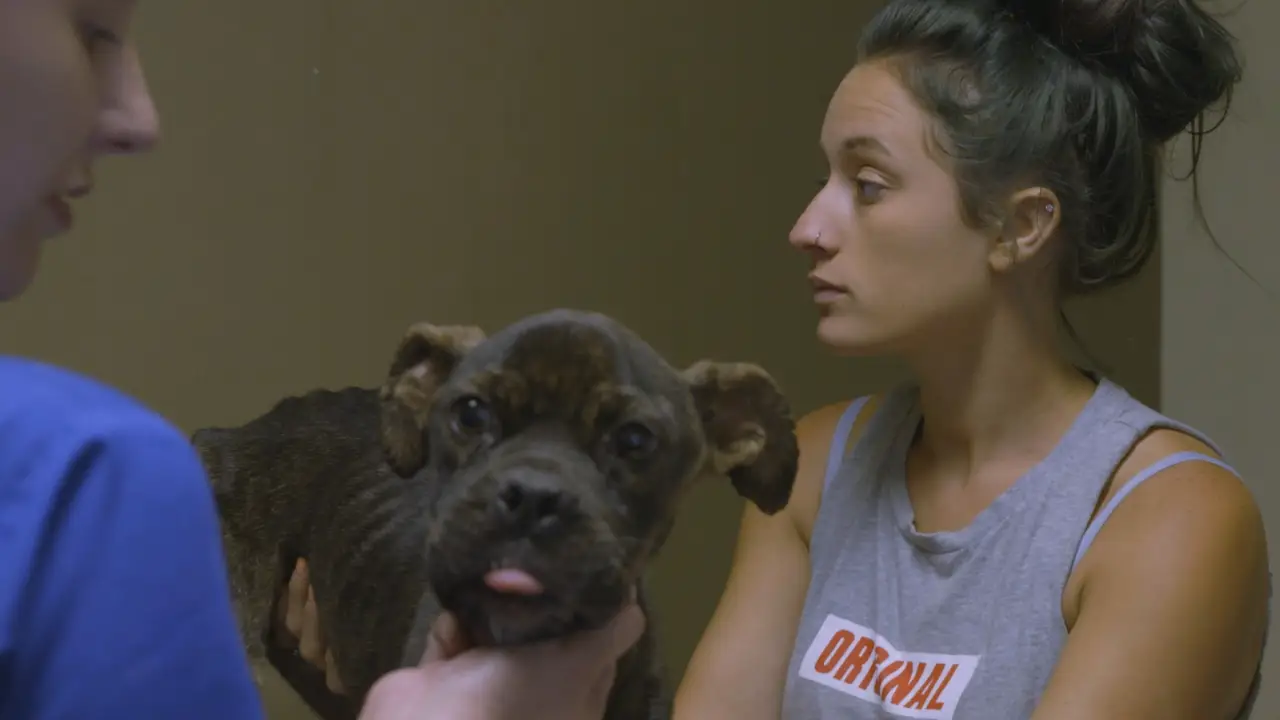 Animal Planet - Pit Bulls & Parolees
