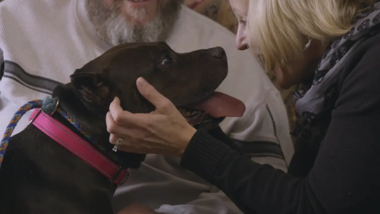Animal Planet - Pit Bulls & Parolees