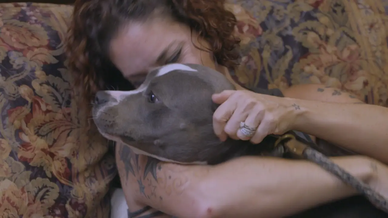 Animal Planet - Pit Bulls & Parolees