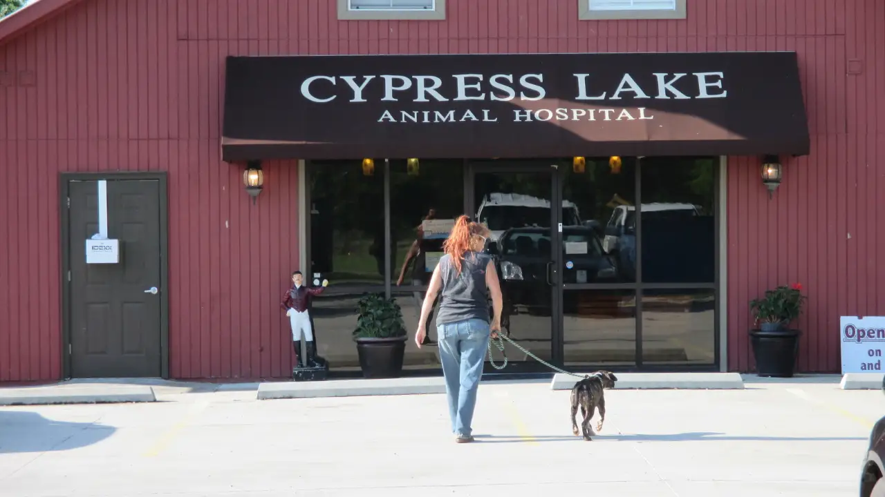 Animal Planet - Pit Bulls & Parolees