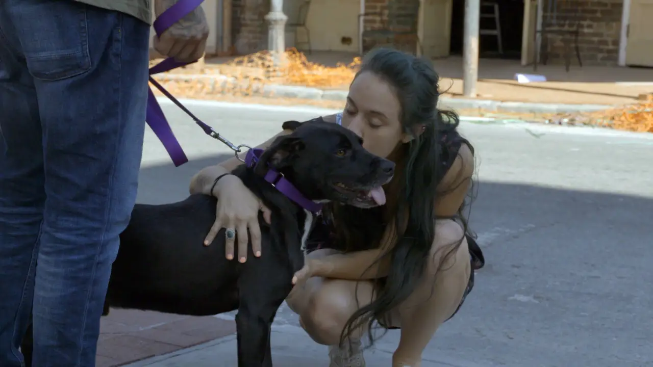 Animal Planet - Pit Bulls & Parolees