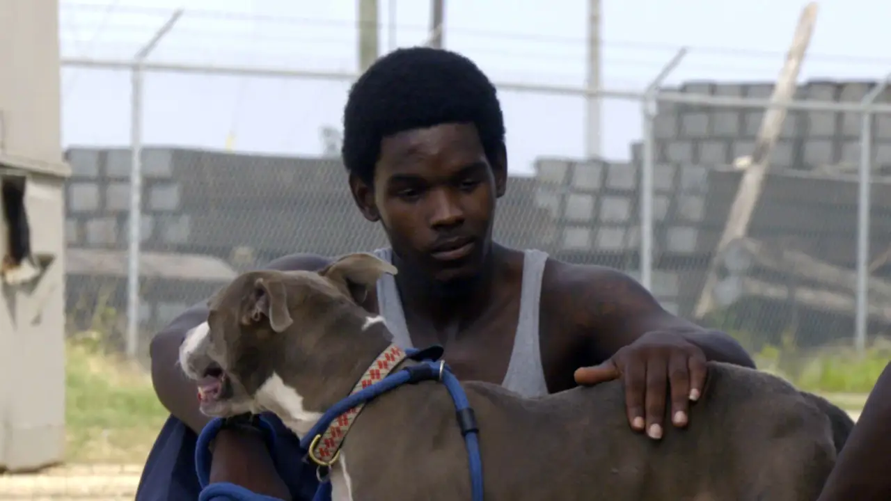 Animal Planet - Pit Bulls & Parolees