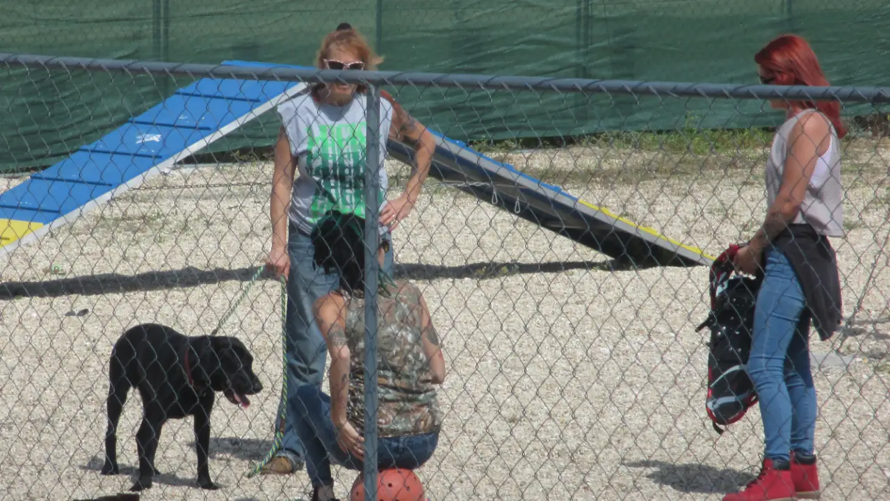 Pit Bulls & Parolees