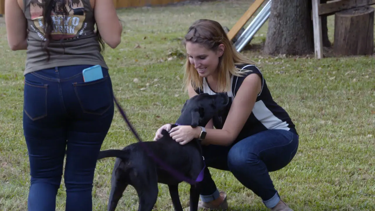 Pit Bulls & Parolees
