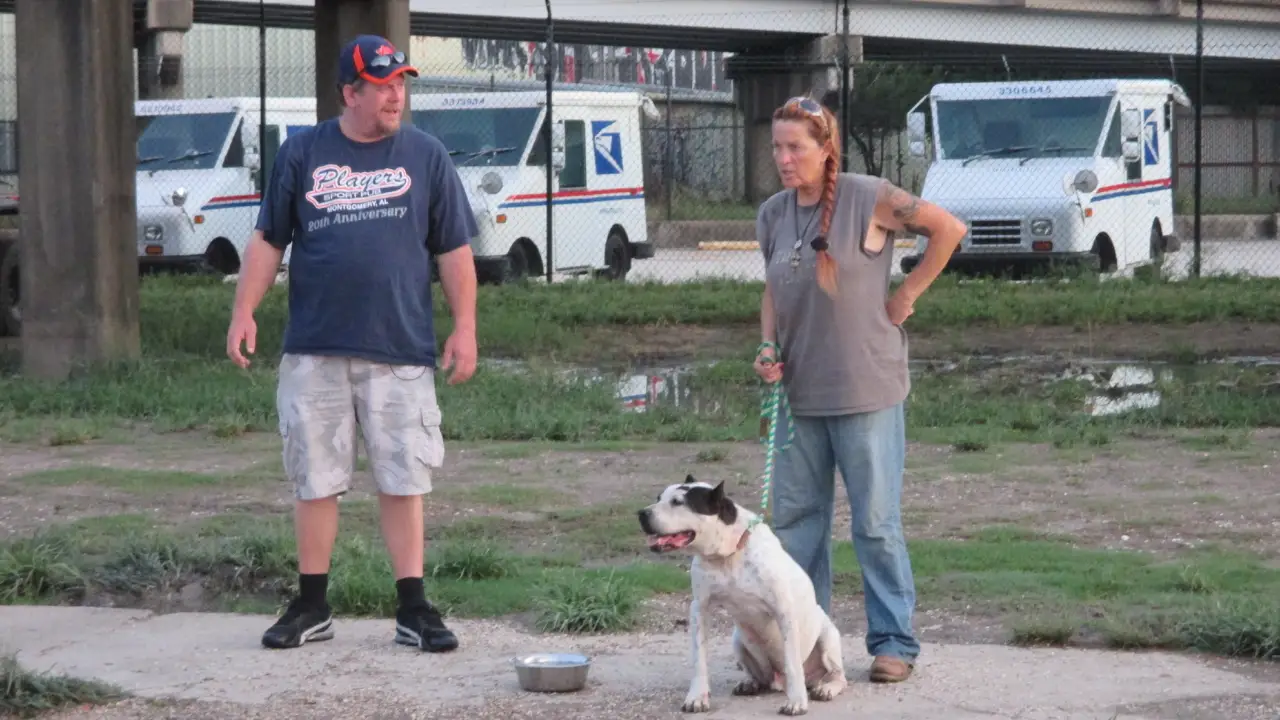 Animal Planet - Pit Bulls & Parolees