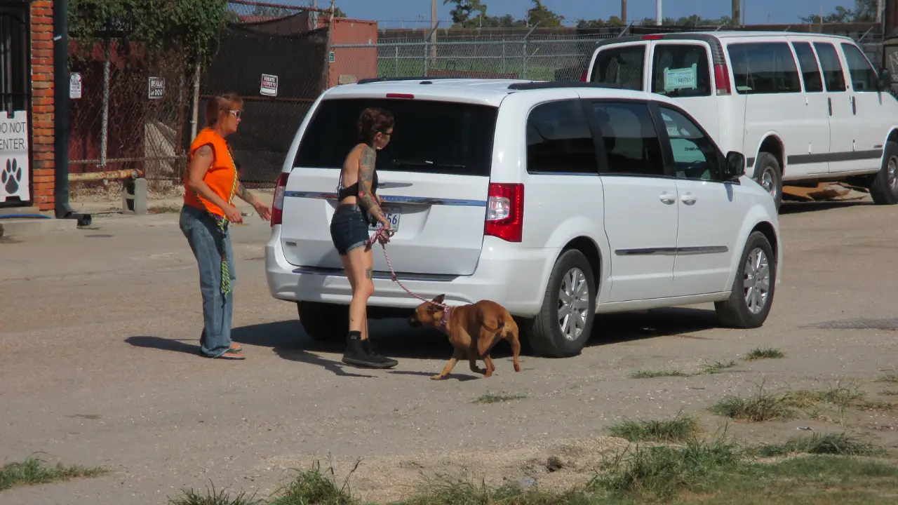 Animal Planet - Pit Bulls & Parolees