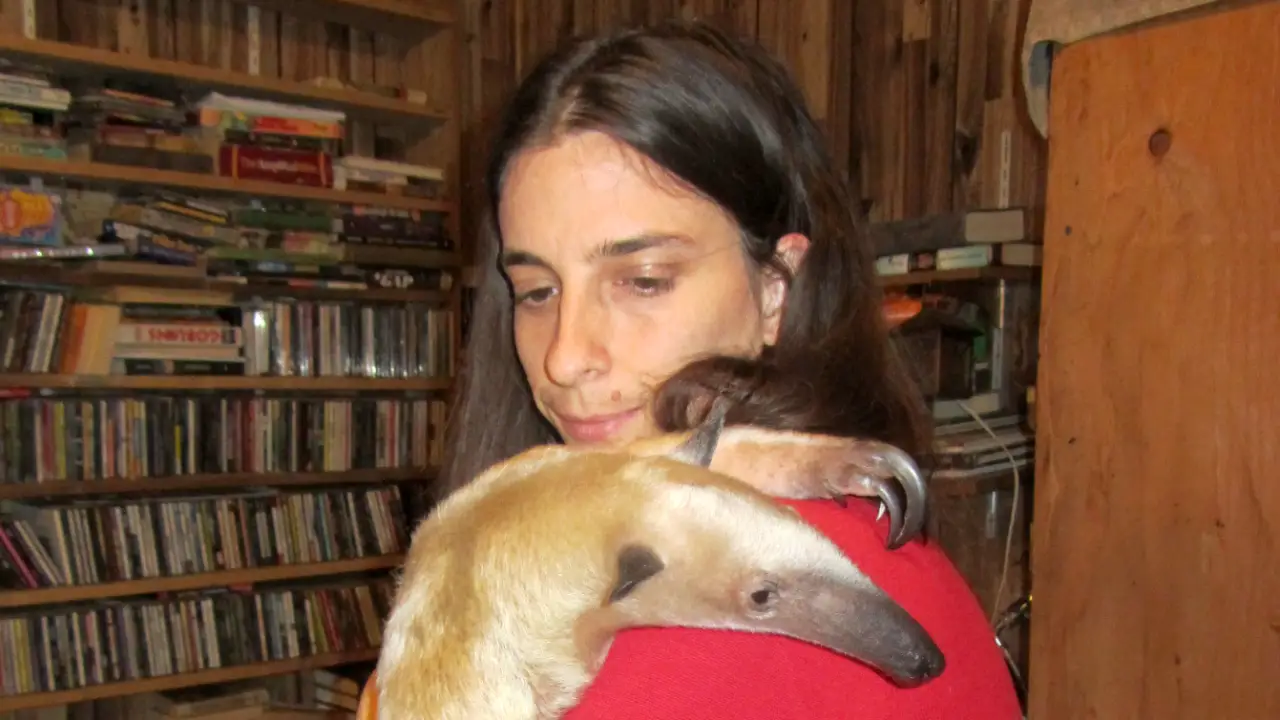 Preposterous Pets