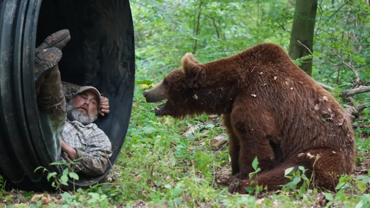 Animal Planet - Project Grizzly