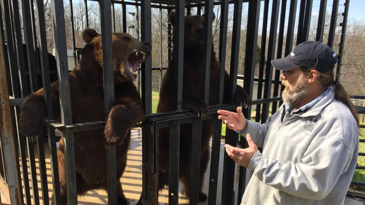 Animal Planet - Project Grizzly