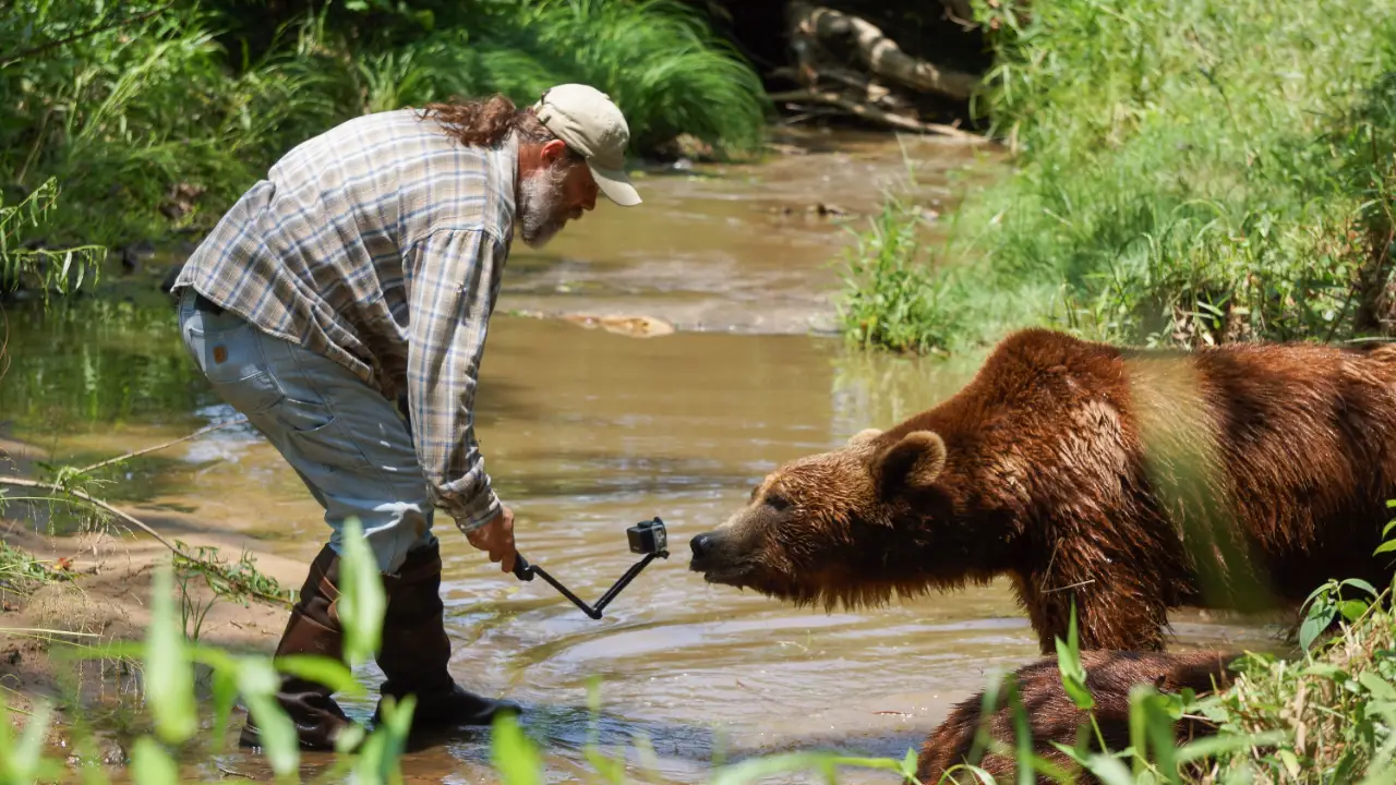 Animal Planet - Project Grizzly