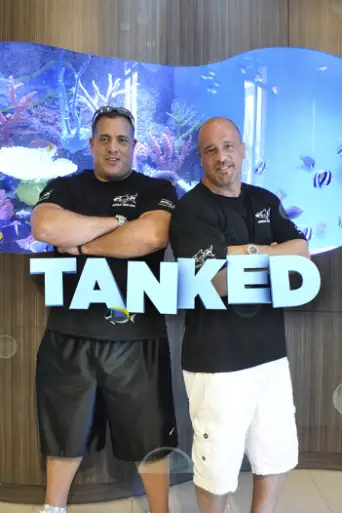 Bild från filmen Tanked