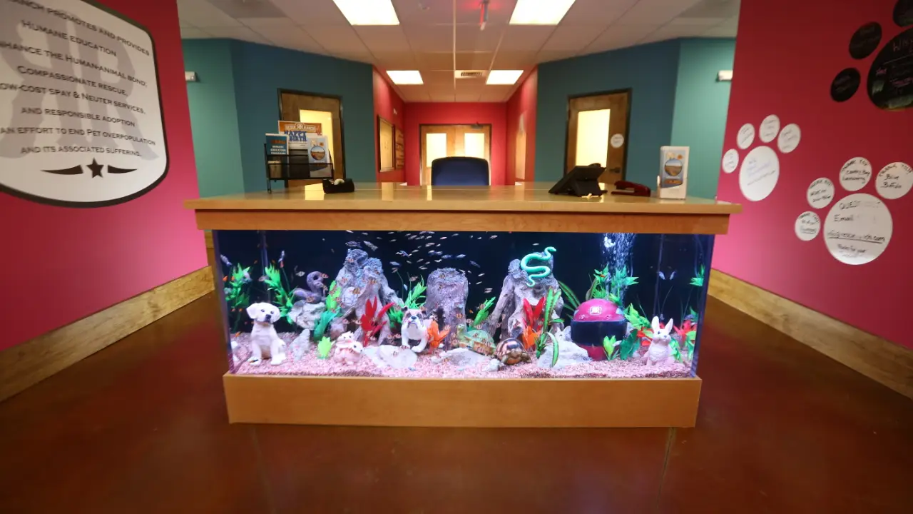 Animal Planet - Tanked