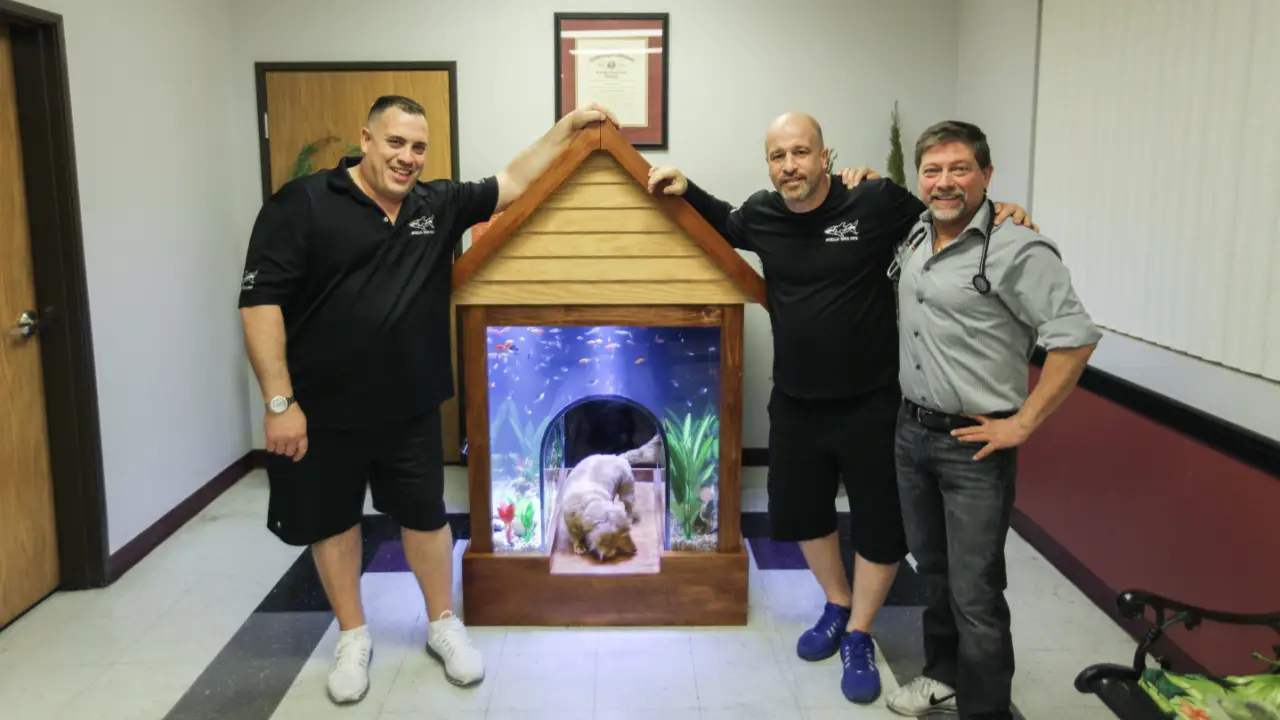 Animal Planet - Tanked