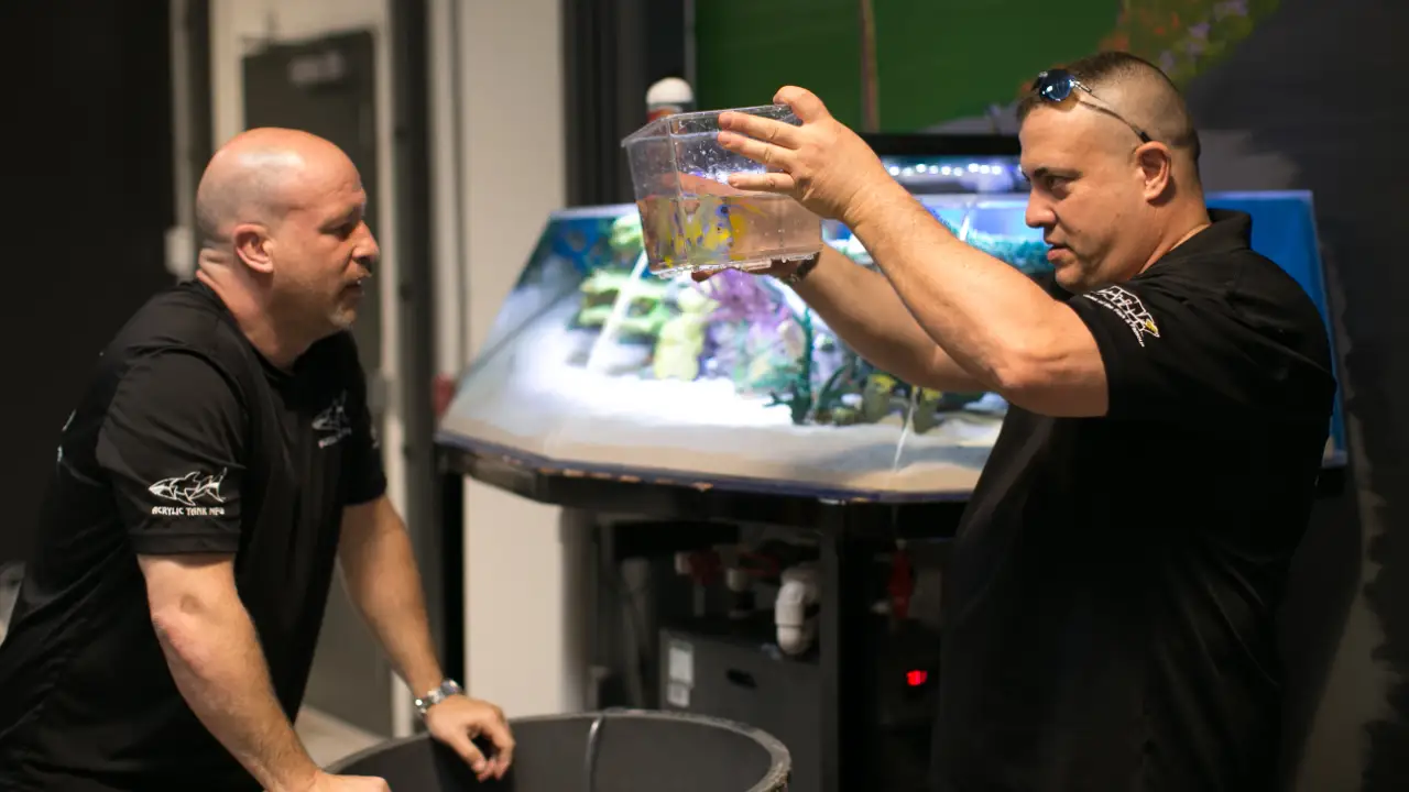 Tanked