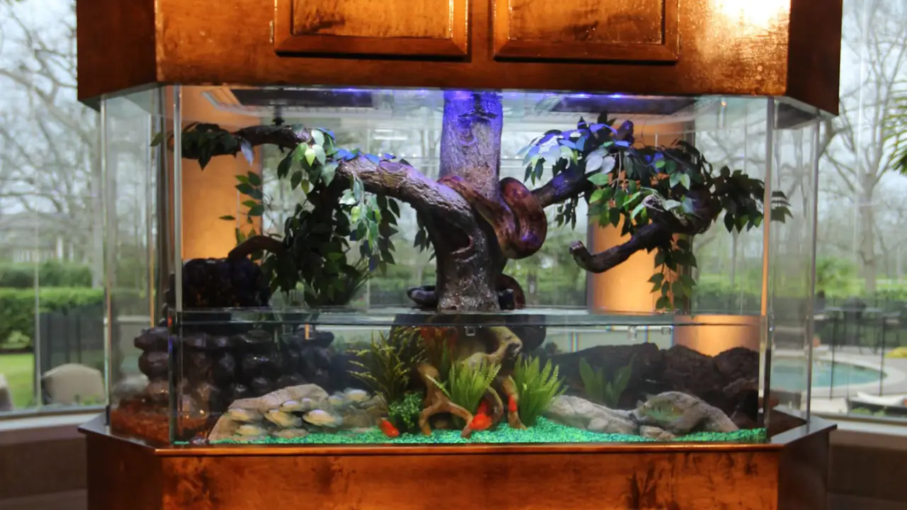Animal Planet - Tanked