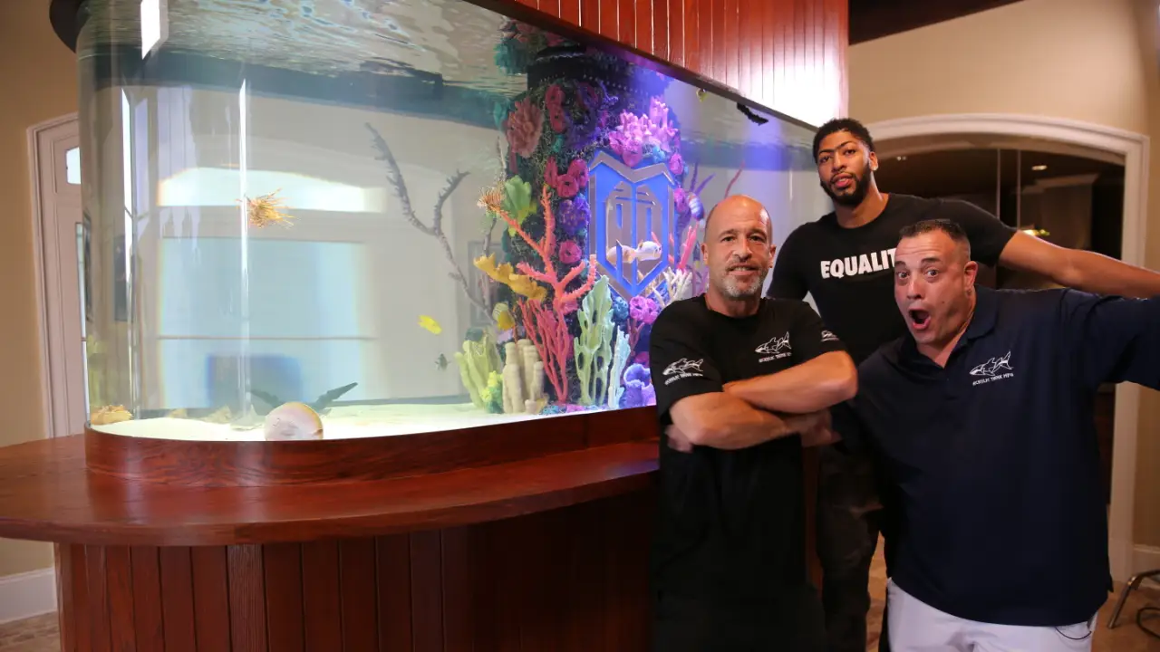 Animal Planet - Tanked