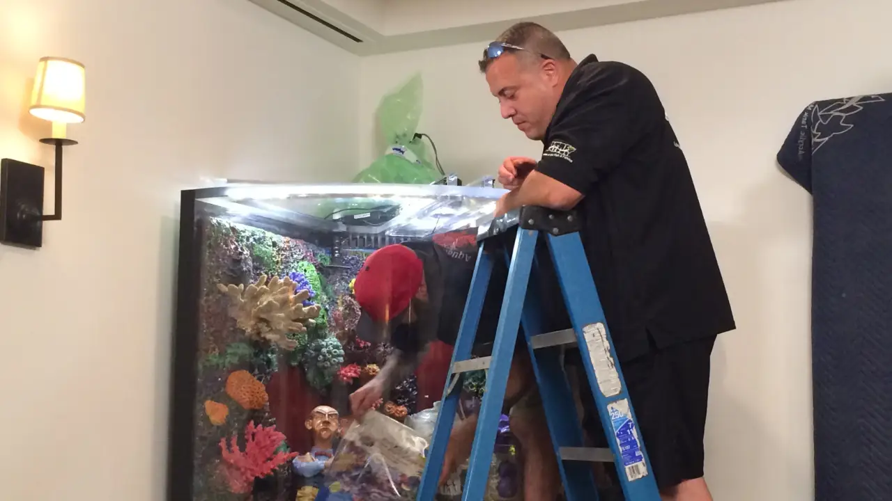 Animal Planet - Tanked