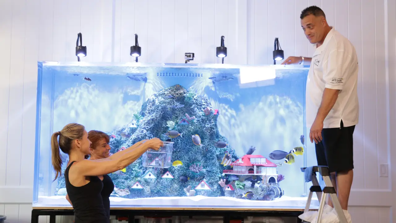 Animal Planet - Tanked