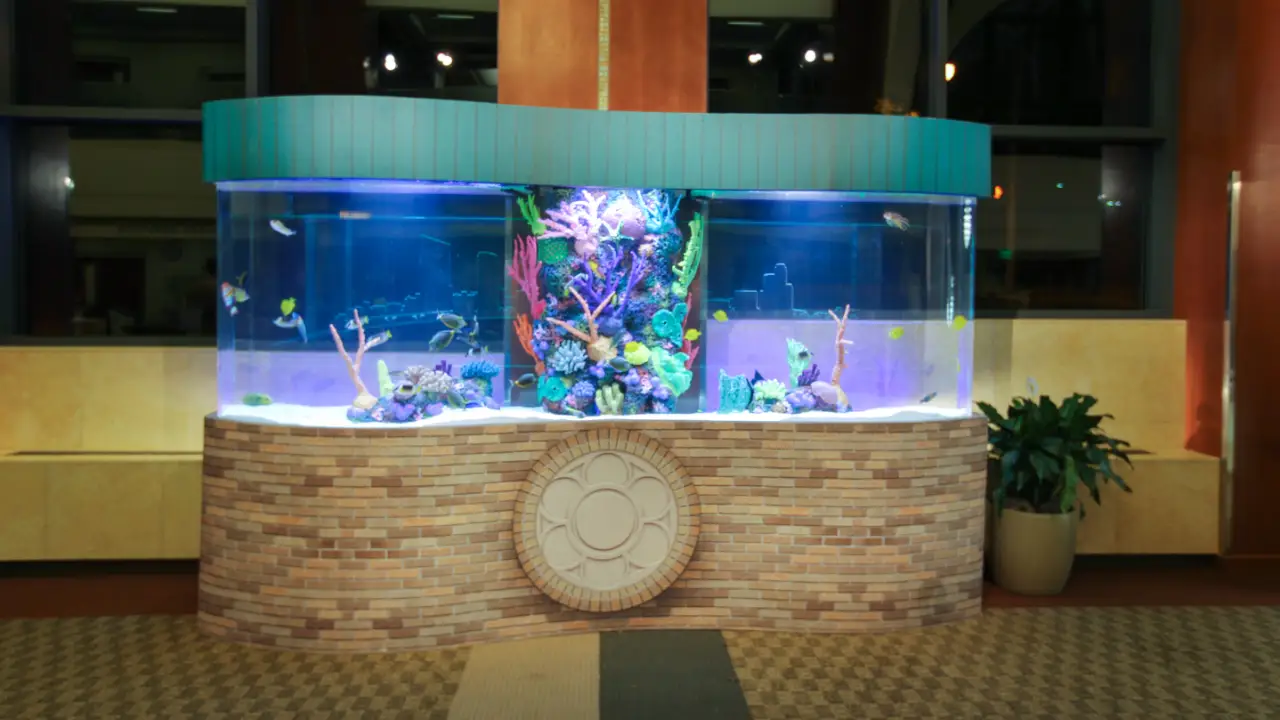 Tanked