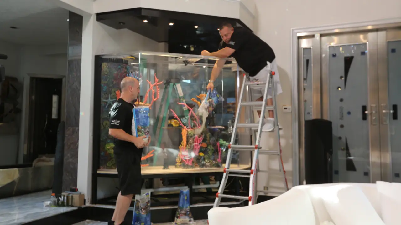 Animal Planet - Tanked