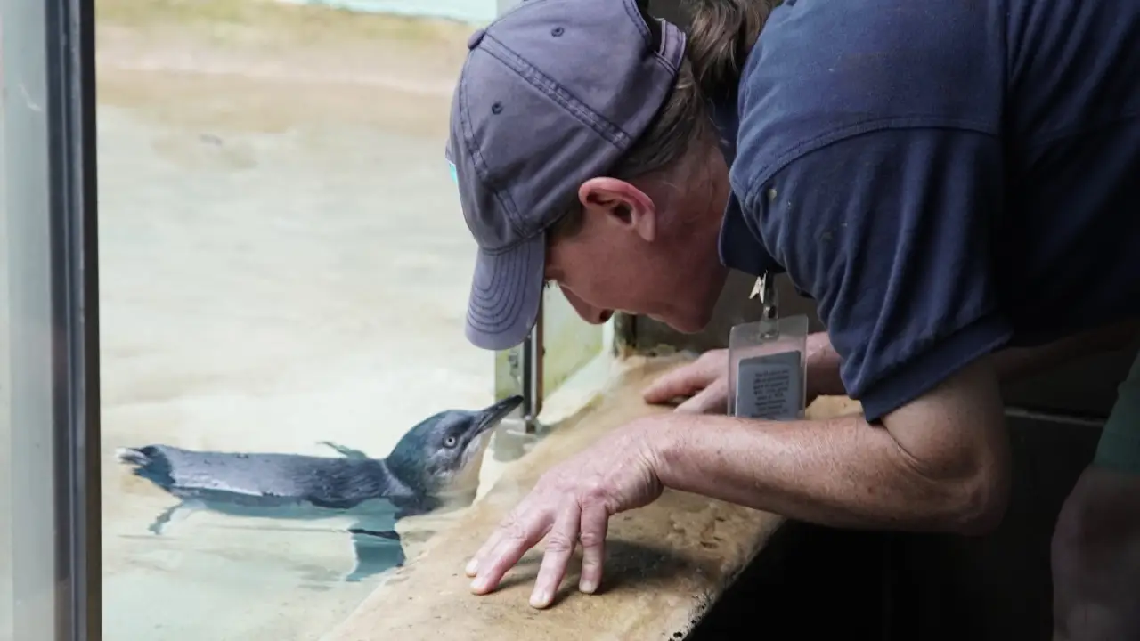 Animal Planet - The Bronx Zoo