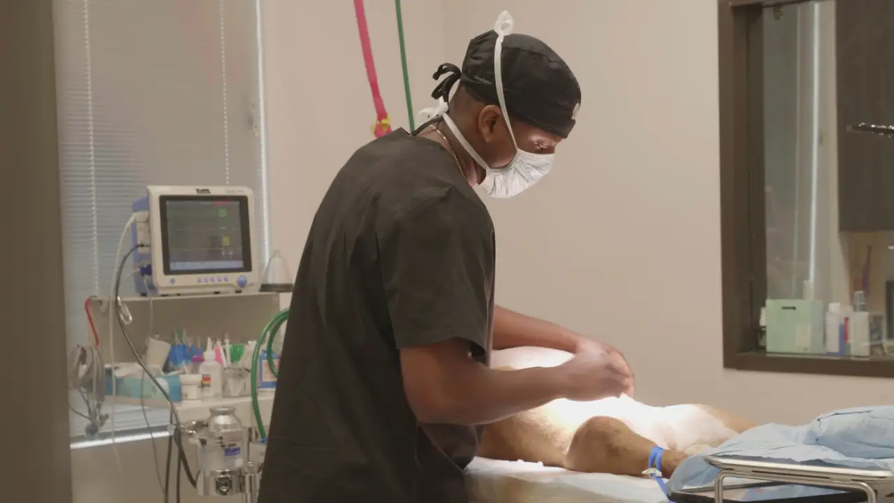 Animal Planet - The Vet Life